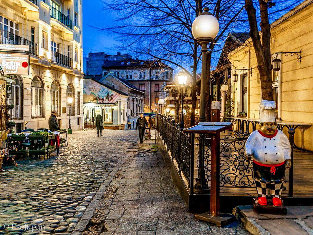 Cosmopolitan Apartment Belgrad Exterior foto